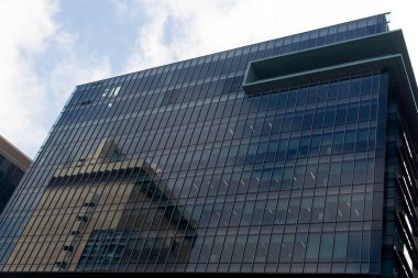 Gökdelen alttan görünüm