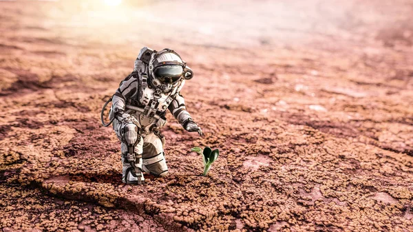 Existuje život na jiné planetě. Kombinovaná technika — Stock fotografie