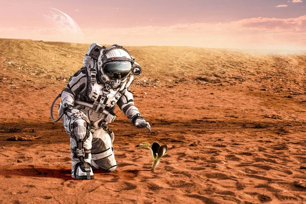 Es gibt Leben auf einem anderen Planeten. Gemischte Medien — Stockfoto