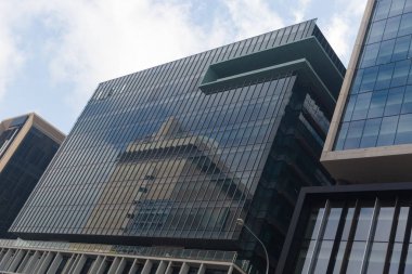 Gökdelen alttan görünüm