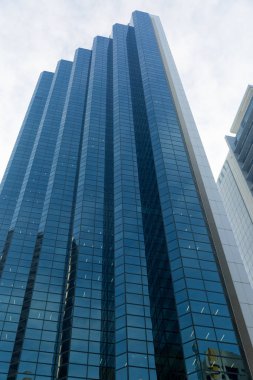 Gökdelen alttan görünüm