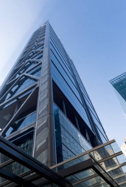 Gökdelen alttan görünüm