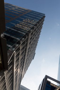 Gökdelen alttan görünüm