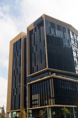 Gökdelen alttan görünüm