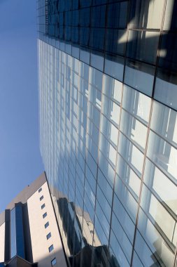 Gökdelen alttan görünüm