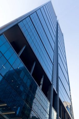 Gökdelen alttan görünüm