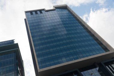 Gökdelen alttan görünüm