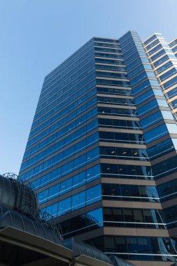 Gökdelen alttan görünüm