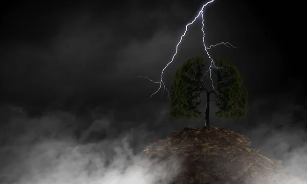 Bright lightning hit the tree — Stock Photo, Image