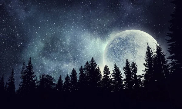 Full moon in sky — Stock Photo, Image