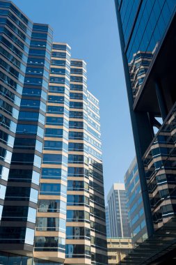 Gökdelen alttan görünüm