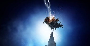 Parlak yıldırım ağaca çarptı