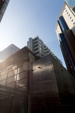 Gökdelen alttan görünüm