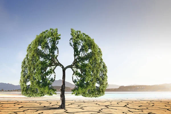 Árvore verde solitária no deserto. Meios mistos — Fotografia de Stock