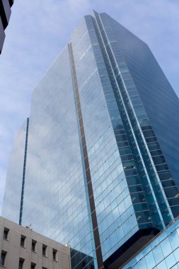 Gökdelen alttan görünüm