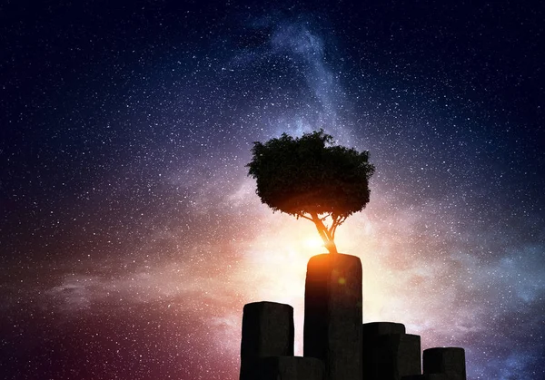 Lonely tree in night — Stock Photo, Image