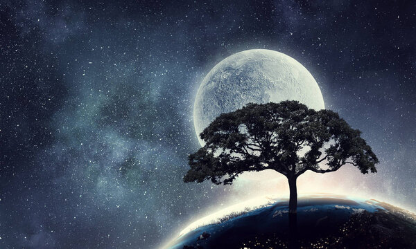 Silhouette of tree against night sky background. Elements of this image are furnished by NASA