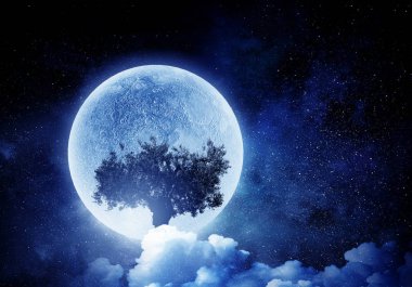 Gecede yalnız ağaç