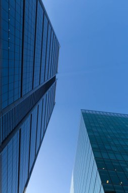 Gökdelen alttan görünüm