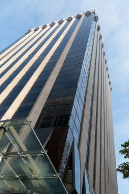 Gökdelen alttan görünüm