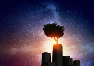 Gecede yalnız ağaç