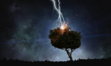 Parlak yıldırım ağaca çarptı