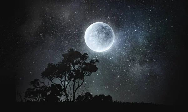 Luna piena in cielo — Foto Stock