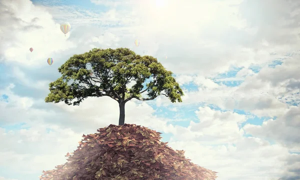 Llega el otoño. Medios mixtos — Foto de Stock