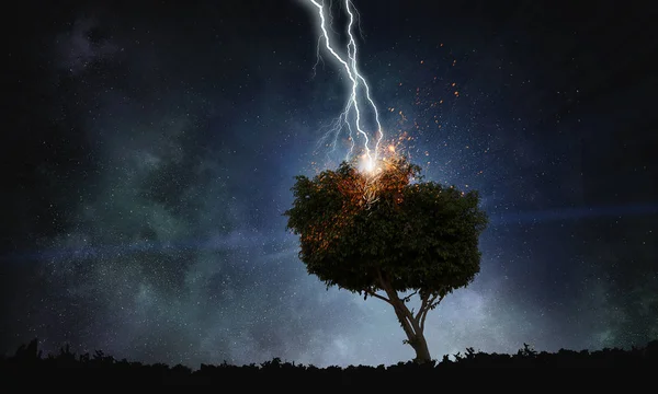 Bright lightning hit the tree — Stock Photo, Image