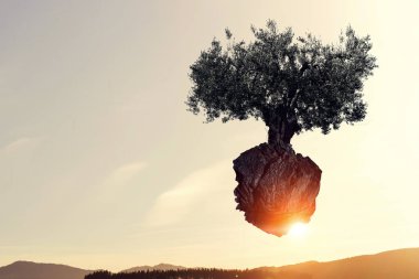 Yalnız ağaç havada yüzer. Karışık teknik