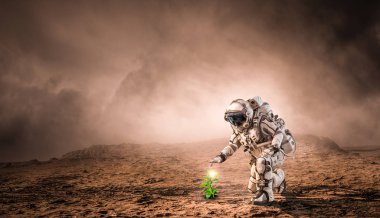 Diğer gezegende hayat var. Karışık teknik