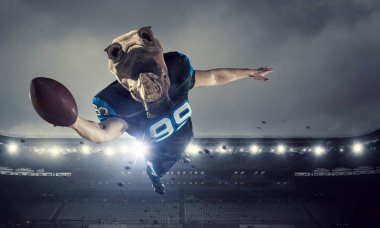 Öfkeli gergedanlar takım. Karışık teknik