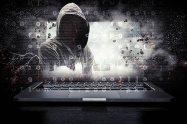 Ağ güvenliği ve bilgisayar suç. Karışık teknik