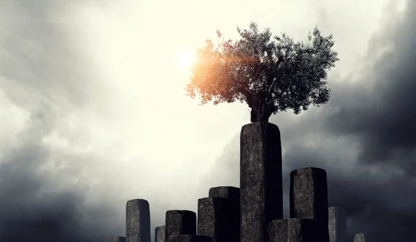 Albero solitario sulla cima della roccia. Mezzi misti — Foto Stock