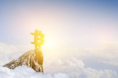 Kripto para birimi konsepti. Karışık ortam