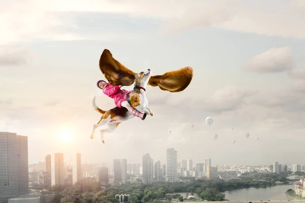 슈퍼 영웅과 그녀의 비행 개 — 스톡 사진
