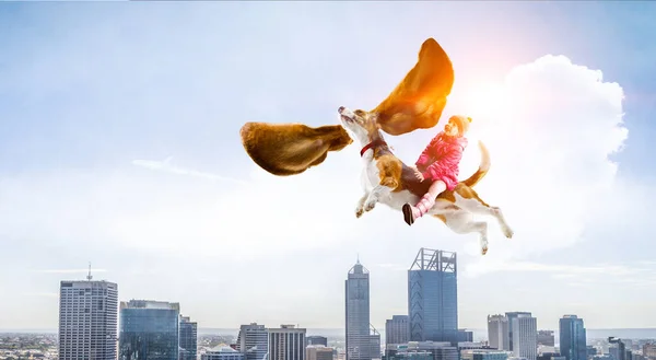 Superhjälte och hennes flygande hund — Stockfoto