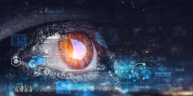 Kişi tanımlama ve tarama . Karışık ortam