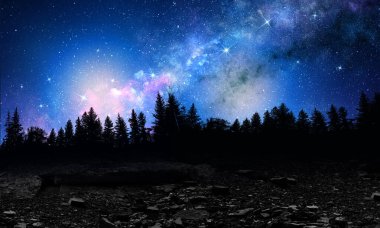 Gece Ormanı 'nın silueti. Karışık ortam