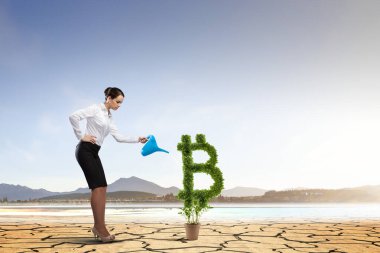 Kripto para yatırımı. Karışık ortam