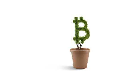 Yeşil bitcoin fabrikası. Karışık ortam