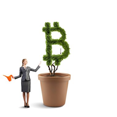 Kripto para yatırımı. Karışık ortam