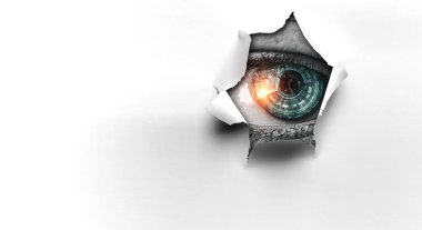 Delikten göz gözetleyen göz. Karışık ortam