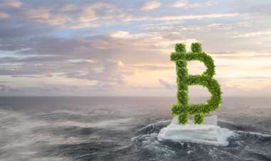 Yeşil bitcoin fabrikası. Karışık ortam