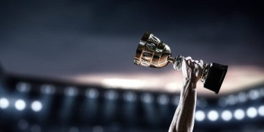 Büyük zaferini kutluyor. Karışık teknik