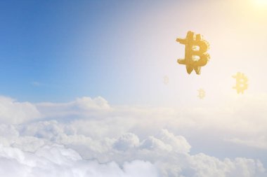 Kripto para birimi konsepti. Karışık ortam