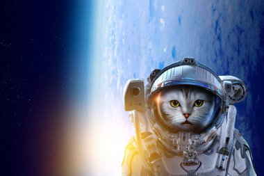 İlk gezi alanı. Karışık teknik