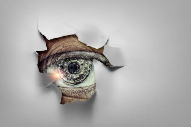 Delikten göz gözetleyen göz. Karışık ortam