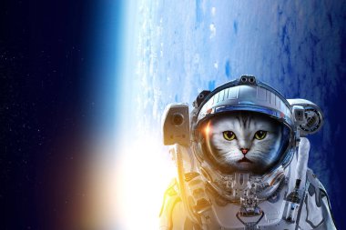 İlk gezi alanı. Karışık teknik