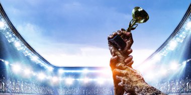 Zafer için mücadele. Karışık teknik